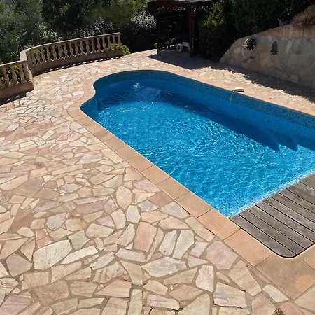 فيلة Lucio *